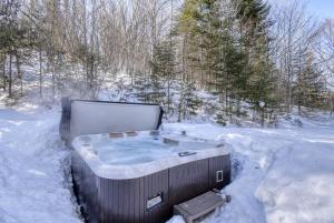 Le Bûcheron Rustic Chalet with Spa and Lake Access semasa musim sejuk