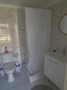 a bathroom with a toilet and a shower and a sink at Family House in Beauvais