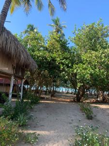 Naturlandskabet i nærheden af landstedet