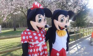 Dois Mickeys vestidos com fantasias ao lado de uma cerca. em Camping Pirinenc em Campdevánol