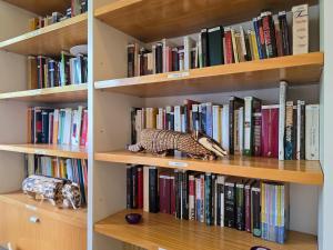 Library sa aparthotel