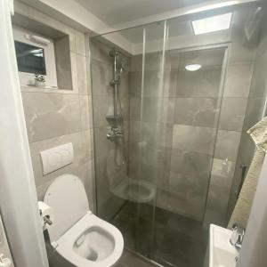 a small bathroom with a toilet and a shower at Chalúpka Sokolí dvor s wellnesom in Terchová +11 photos
