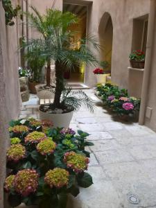 
a garden with flowers and plants in it at Secret B&B in Trapani
