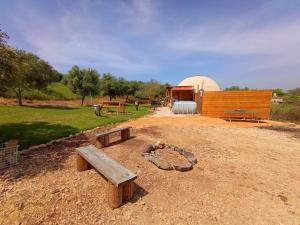 Fotografie z fotogalerie ubytování Olive Dome - כיפה גיאודזית ענקית ומודרנית בין עצי הזית v destinaci Javne'el