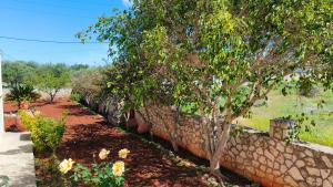 A garden outside Pazinos/Neveli Cottage