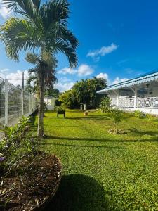 Zahrada ubytování Villa Kylokaque