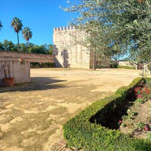 Zahrada ubytování Habitación Privada Jerez 3