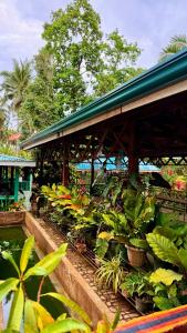 a greenhouse filled with lots of green plants at Felban's Farm in Carmen +18 photos