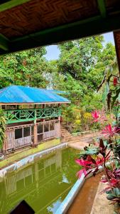 Kebun di luar Felban's Farm +18 foto