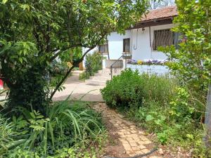 una casa con un árbol y una pasarela en Hula, en Yesud HaMa‘ala