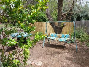 a blue bench sitting in front of a tree at Hula in Yesud HaMa‘ala +4 photos