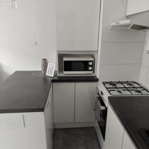 Η κουζίνα ή μικρή κουζίνα στο Mieszkanie Kłodzko Centrum