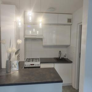 Η κουζίνα ή μικρή κουζίνα στο Mieszkanie Kłodzko Centrum +6 φωτογραφίες