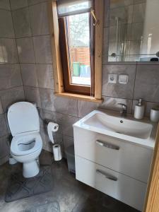a bathroom with a toilet and a sink and a window at Noclegi nad stawami wypożyczalnia kajaków i rowerów in Milicz +6 photos