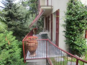 Zahrada ubytování Villa Eli