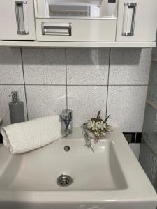 Fotografie z fotogalerie ubytování Thermal Garden Weninger Apartmanok v destinaci Kiskunhalas