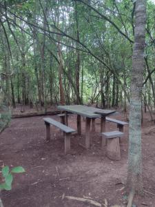 una mesa de picnic en medio de un bosque en Sítio águas claras, en Pirenópolis