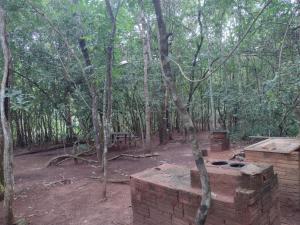una estufa de ladrillo en medio de un bosque en Sítio águas claras, en Pirenópolis 10 fotos más