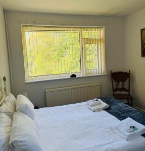 Φωτογραφία από το άλμπουμ του Bryn Gwyn Lodge στο Νιούπορτ