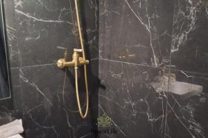 伊西莱穆利诺Appartement Studio, 2 Personnes, 5min de Paris的黑色大理石墙上的金把门