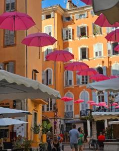 入住Le Figuier de Saint Ce Jardinet Terrasse Vue的旅客