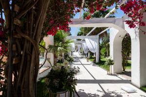 a white ceremony aisle with flowers and a tree at Villa Edelweiss in Bacoli