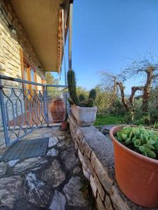 Zahrada ubytování Verde Mare apartment Rosignano Marittimo