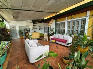 a living room with couches and potted plants at La Posadita de Bolonia in Managua