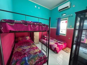 two bunk beds in a room with pink and green walls at Homestay Lidiya in Banyuwangi