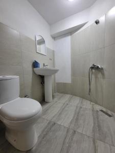 un baño con inodoro y lavabo en OTAM Villa, en Pogradec