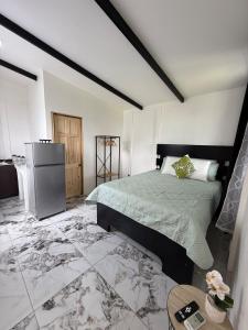 a large bedroom with a bed and a refrigerator at Mini Casa Aura in Fortuna