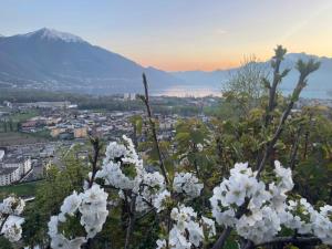 Paesaggio naturale nelle vicinanze della casa vacanze