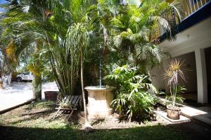a garden with palm trees and a water fountain at Nicte Ha Campeche in Campeche