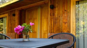 a glass vase with pink flowers sitting on a table at Hotel Rancho Viejo in El Aguaje