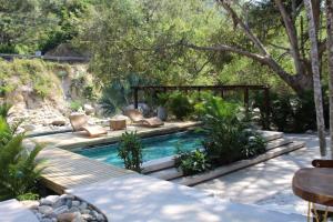 a swimming pool in a backyard with chairs and trees at Río Celeste Poshtel Tayrona - Zaino in Calabazo