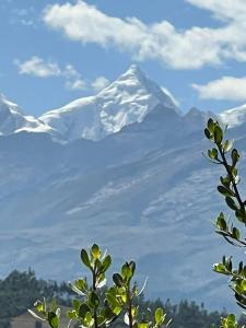 una montaña cubierta de nieve en la distancia con un árbol en Villa Buenaventura, en Caraz