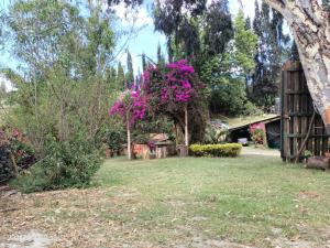 Foto dalla galleria di Villa Satu a Ráquira