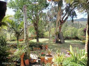Foto dalla galleria di Villa Satu a Ráquira