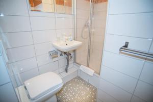 a bathroom with a toilet and a sink and a shower at City Guesthouse Pension Berlin in Berlin