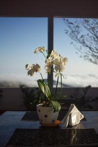 Foto sihtkohas Nosara asuva majutusasutuse Nosara Hideaway 3 - BREAKFAST INCLUDED & Mountain View Cabins galeriist
