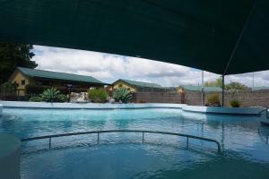 Bazén v ubytování Tasman Holiday Parks - Miranda nebo v jeho okolí