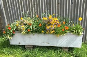 a planter filled with flowers in front of a fence at Swallows Nest in Sturminster Newton