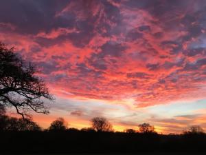 a sunset with trees and a cloudy sky at Swallows Nest in Sturminster Newton