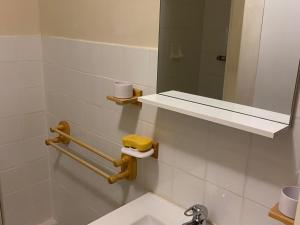 a bathroom with a sink and a mirror at Appartement calme avec parking à Super Besse - FR-1-814-92 in Besse-et-Saint-Anastaise +10 photos