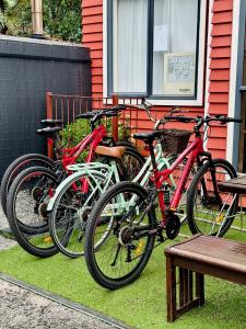 Attività di ciclismo presso l'ostello o nelle vicinanze
