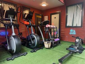 Palestra o centro fitness di Wild Kea Lodge Franz Josef