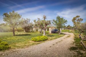 a gravel road in a park with a car parked at B&B Tenuta Martinelli in Monopoli