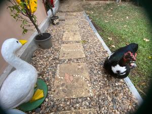 Gallery image of Chiang Dao Story Camp in Chiang Dao