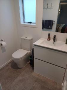 un bagno bianco con un water e un lavandino di Rotorua Studio a Rotorua Altre 16 foto