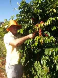 a man in a hat is picking berries from a tree at Pousada Catarina in Maringá